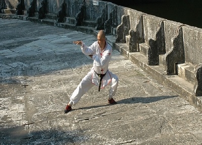 M&uuml;cadele ve Savaş Sanatları